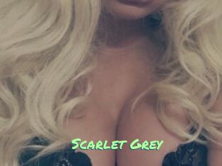 Scarlet_Grey