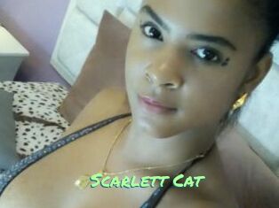 Scarlett_Cat
