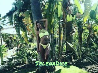 SelenaDice