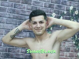 ShaneBlack