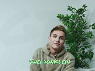 SheldonKlein