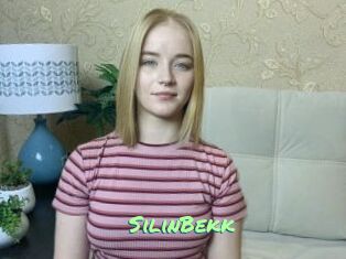 SilinBekk