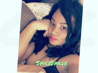 SpicySpade