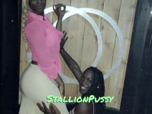 StallionPussy