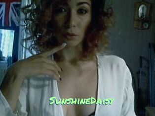 SunshineDaisy