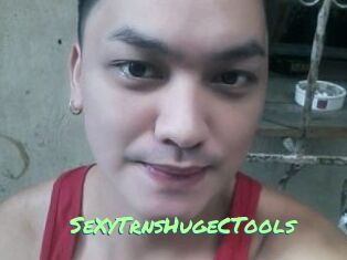 _SeXyTrnsHugeCTools_