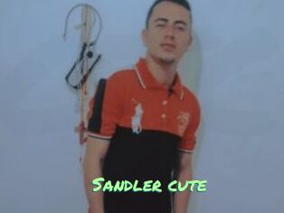 Sandler_cute