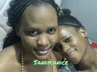 Sandycanice