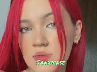 Sandycase