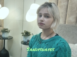 Sandyshayes