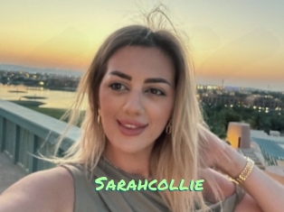 Sarahcollie