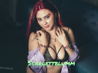 Scarlettblumm