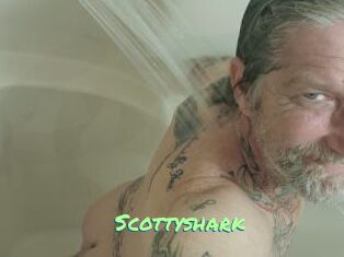 Scottyshark