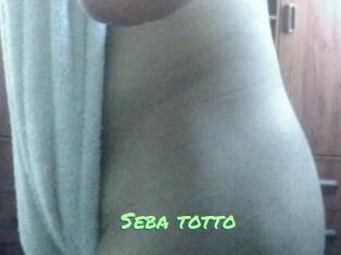 Seba_totto