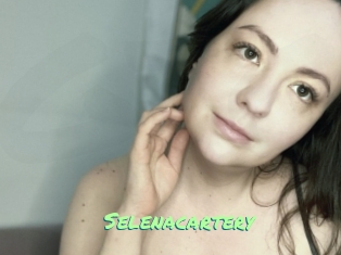 Selenacartery