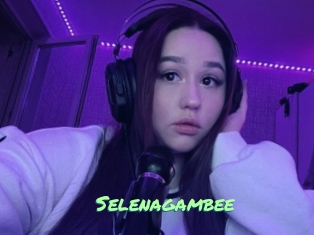 Selenagambee