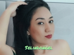 Selindongel