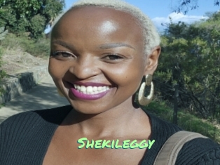 Shekileggy