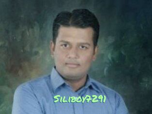 Siliboy7291
