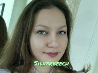 Silverbeech