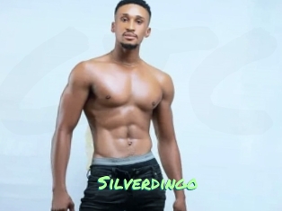 silverdingo Gothicorgien