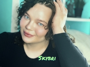Skybri