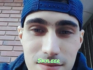 Skyleer