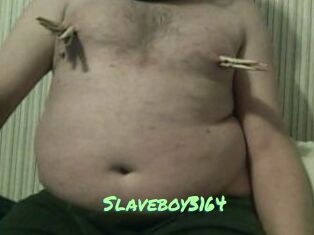 Slaveboy3164