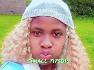 Small_tits018