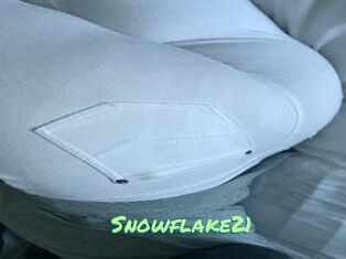 Snowflake21