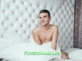 Sosexykarllfu