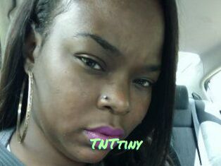 T_N_Ttiny