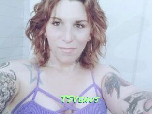 TS_Venus