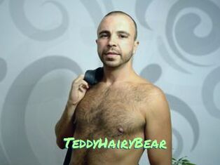 TeddyHairyBear