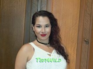TefyWild