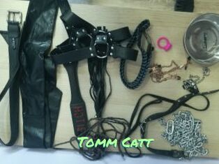 Tomm_Catt