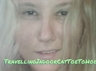 TravellingIndoorCatToeToHoe