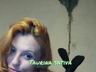 Taurina_sativa