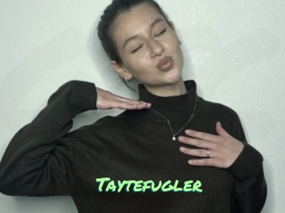 Taytefugler
