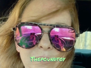 Thepoundtoy