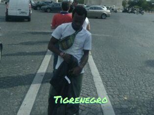 Tigrenegro