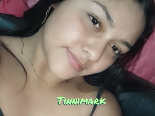 Tinnimark