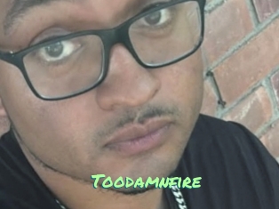 Toodamnfire
