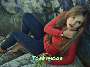 Torrymoor