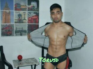 Torusd