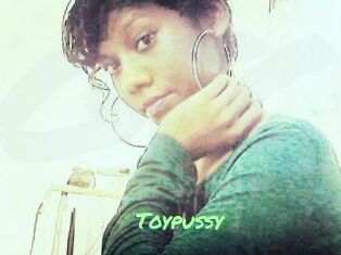Toypussy