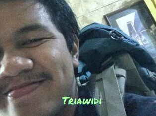 Triawidi