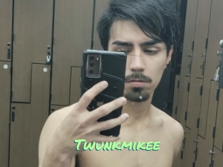 Twunkmikee