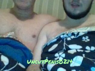 UncutPenis0214