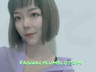 Vaginalplumblossom